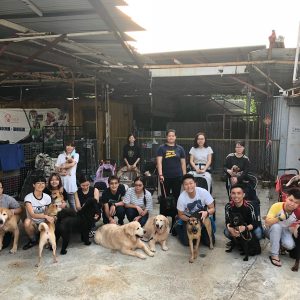 動物義工探訪
